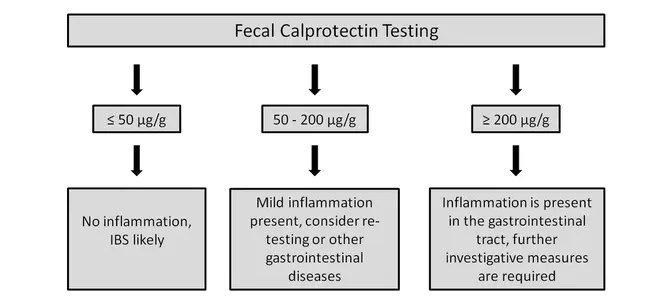 calprotectin : 钙卫蛋白