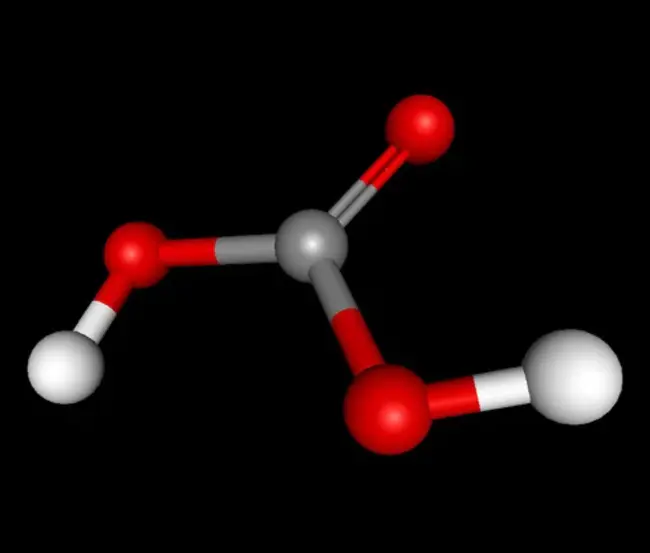 carbonic anhydrase : 碳酸酐