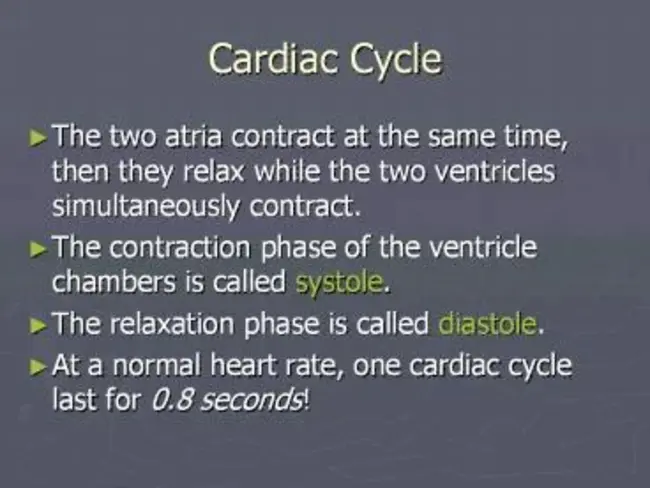 Cardiac Cycle : 心动周期