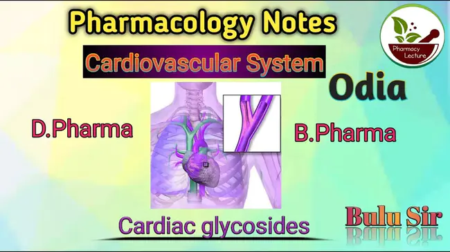 Cardiac Glycoside : 心苷类