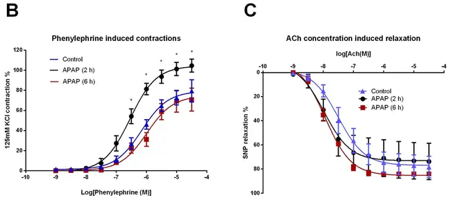 Cardiac Stem Cell : 心脏干细胞