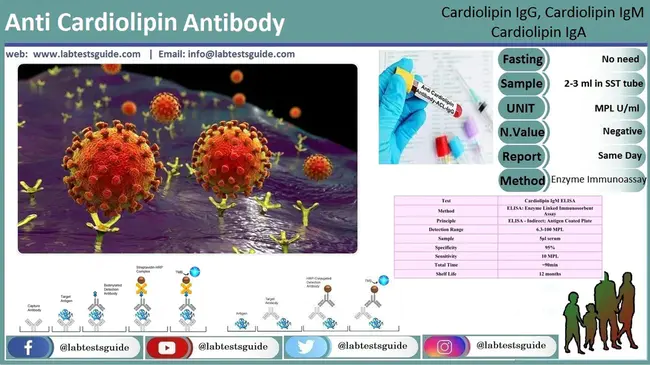 Cardiolipin Complement Fixation : 心磷脂补体固定