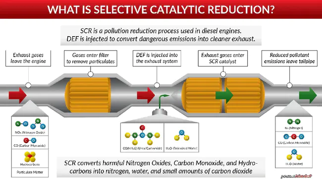 Catalytic Domain : 催化域