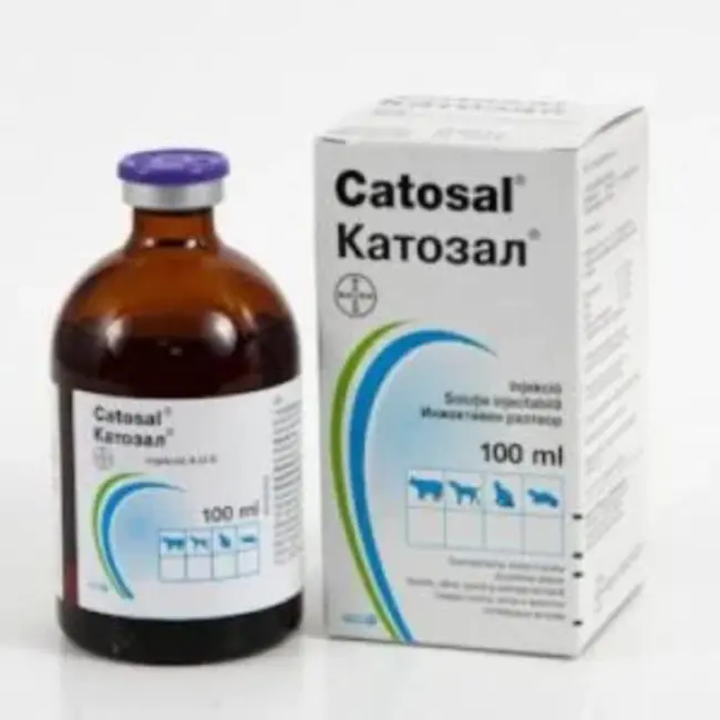 catechol oestrogens : 儿茶酚雌激素