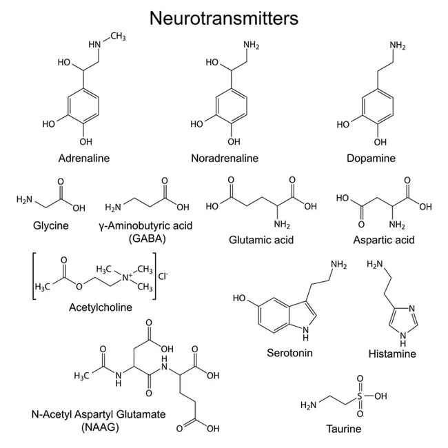 catecholamine : 儿茶酚胺