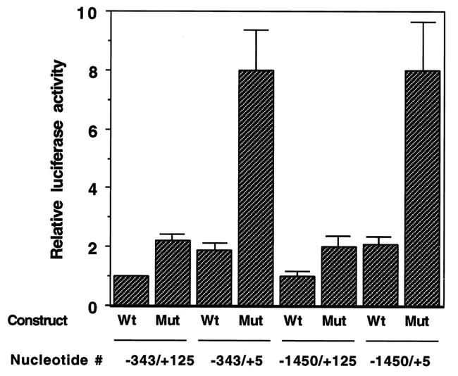 CCAAT/enhancer binding protein : CCAAT/增强子结合蛋白