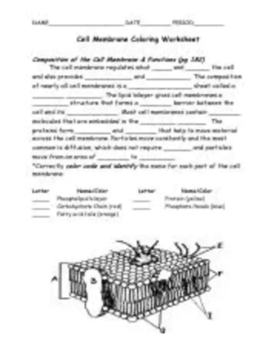 Cell Membrane : 细胞膜