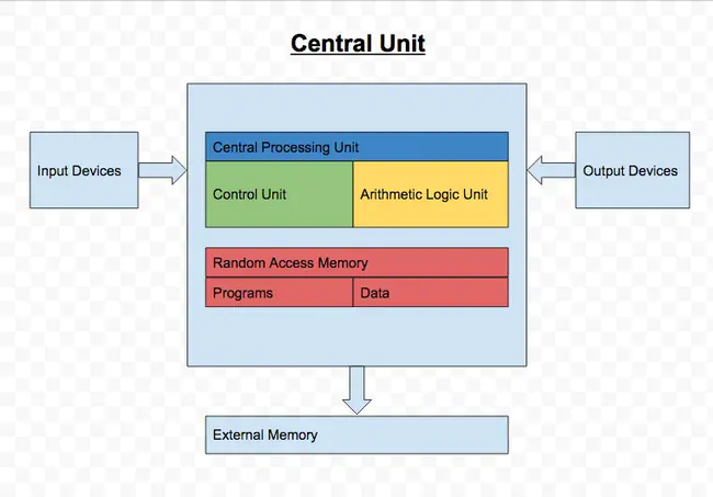 Central Auditory System : 中央听觉系统