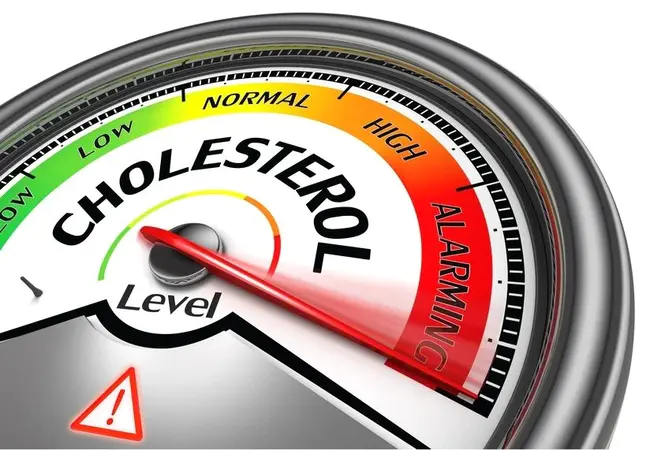 Cholesterol-Esterifying Activity : 胆固醇酯化活性