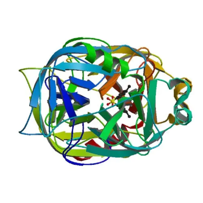 Chymotrypsin Unit : 糜蛋白酶单位