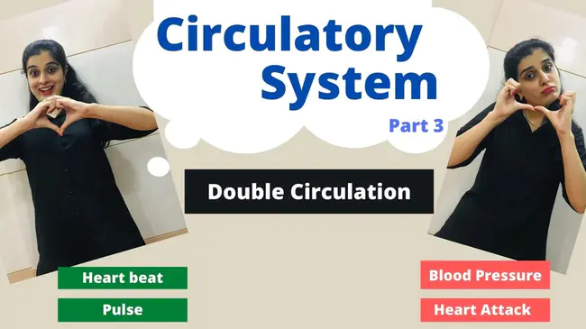 Circulatory Failure : 循环衰竭