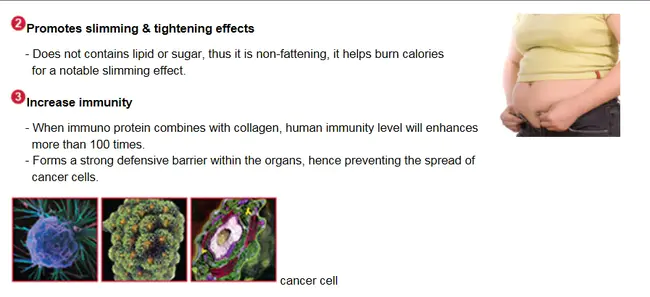 Collagen Vascular Disease : 胶原血管病