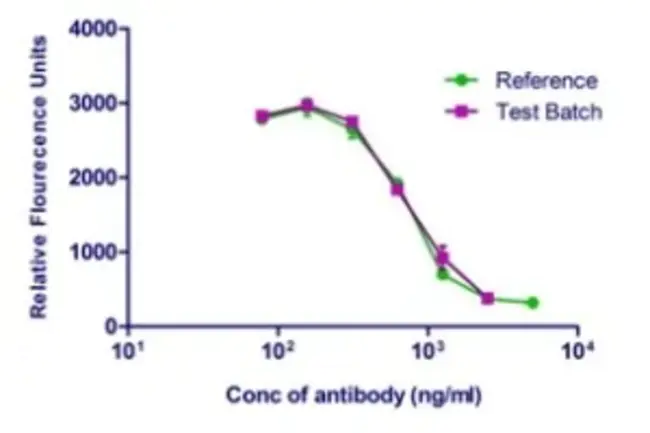 Complement-Dependent Cytotoxicity : 补体依赖性细胞毒性