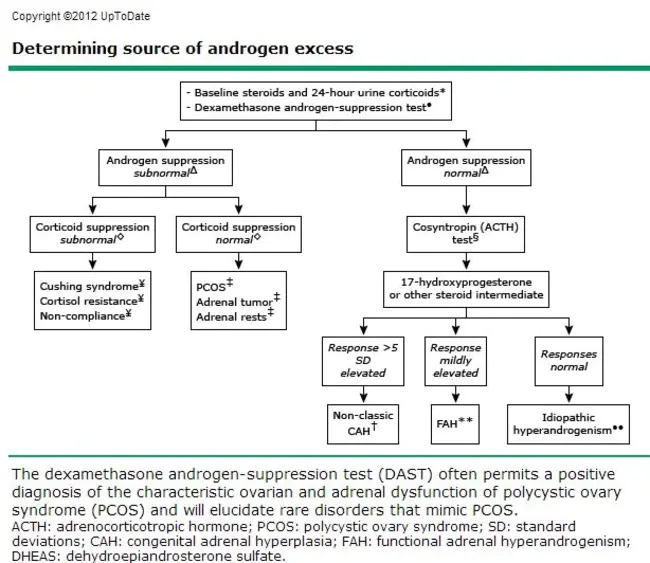 Continuous Androgen Supression : 持续性雄激素抑制