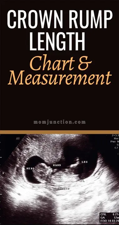 Crown-Rump Measurement : 冠部尾部测量