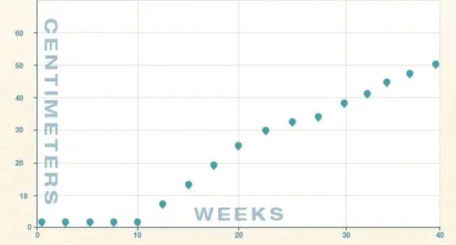 Cumulative Pregnancy Rate : 累计妊娠率