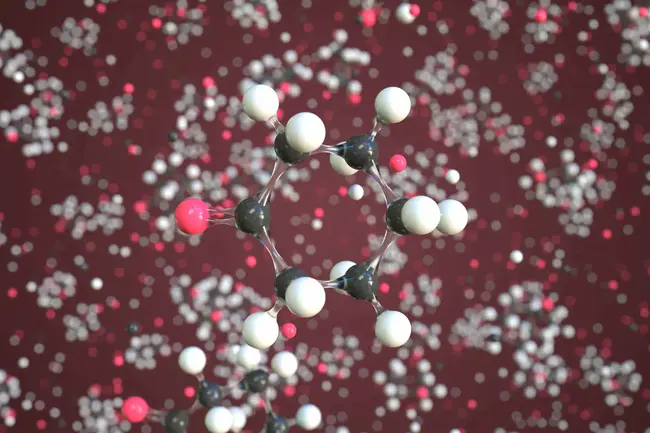 Cyclohexanone MonoOxygenase : 环己酮单加氧酶