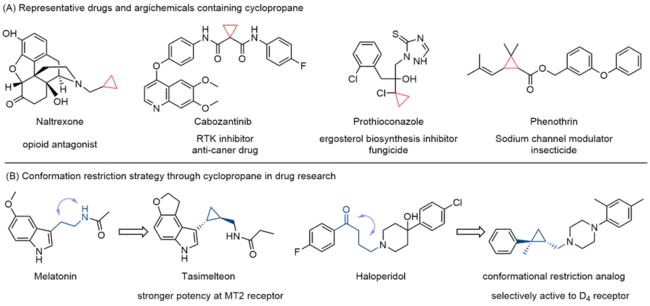 cyclophosphamide, Adriamycin, prednisone : 环磷酰胺、阿霉素、强的松