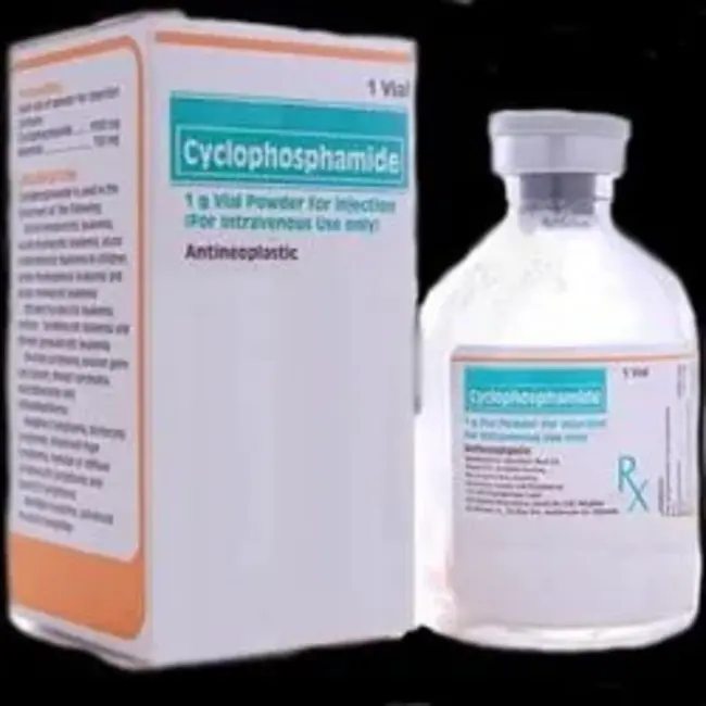 cyclophosphamide, methotrexate and CCNU : 环磷酰胺、甲氨蝶呤和 CCNU