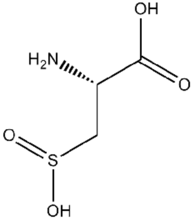 Cysteine Sulphinate Decarboxylase : 半胱氨酸硫化物脱羧酶