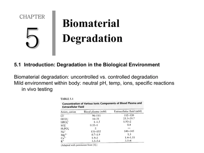 Degradation Product : 降解产物