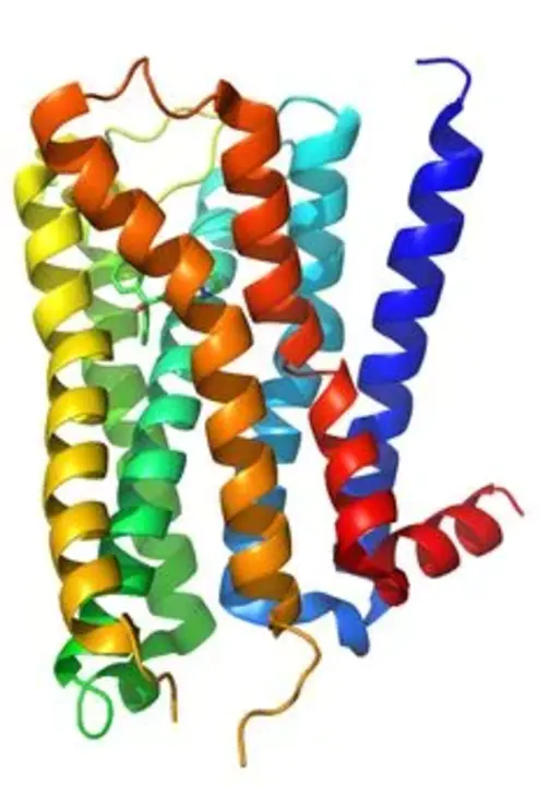 dietary electrolyte imbalance : 膳食电解质失衡