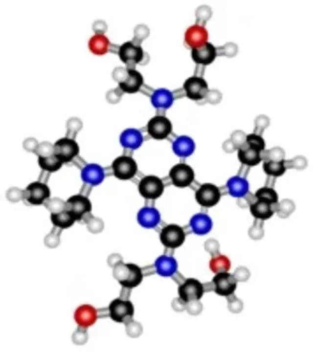 Dipyridamole Thallium Scintigraphy : 双吡达莫铊闪烁扫描术