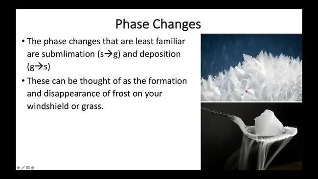 Early Phase Reaction : 早期反应