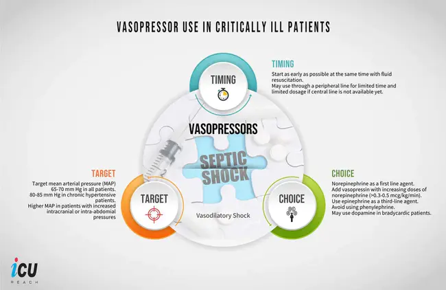 Effective Systolic Pressure : 有效收缩压