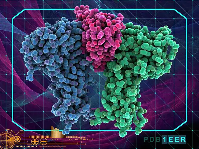 erythropoietin receptor : 促红细胞生成素受体