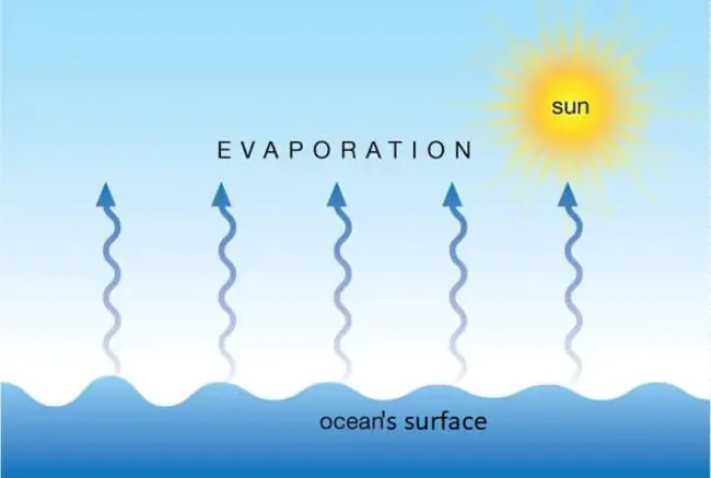 Evaporation Rate : 蒸发率