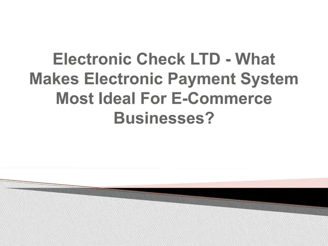 Electronic Check Processing : 电子支票处理