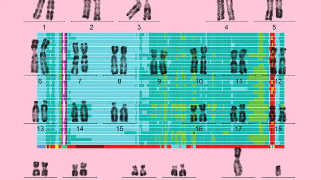 Genome Conformational State : 基因组构象状态