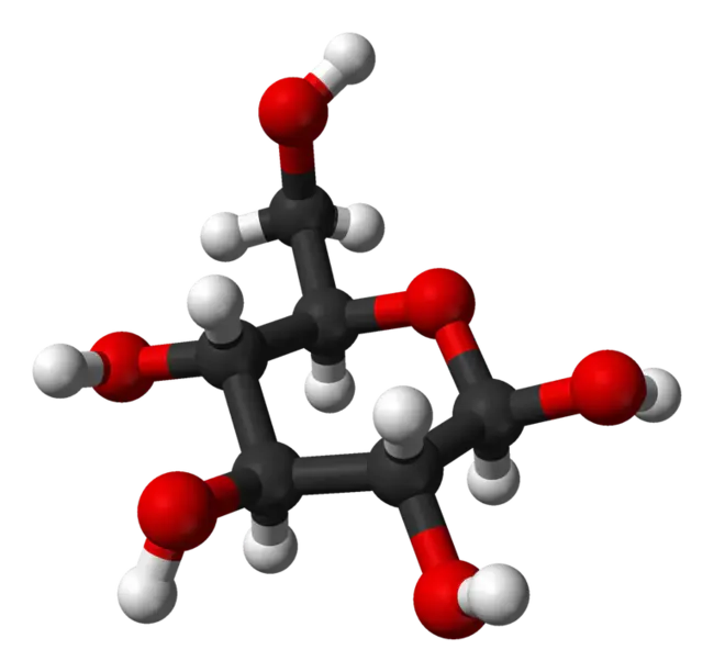 Glucose Phosphate : 磷酸葡萄糖