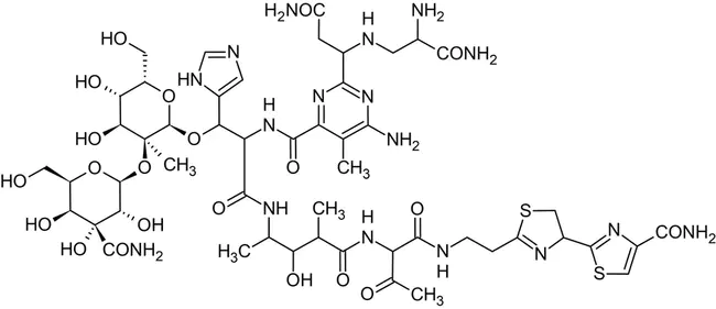 glycopeptide : 糖肽