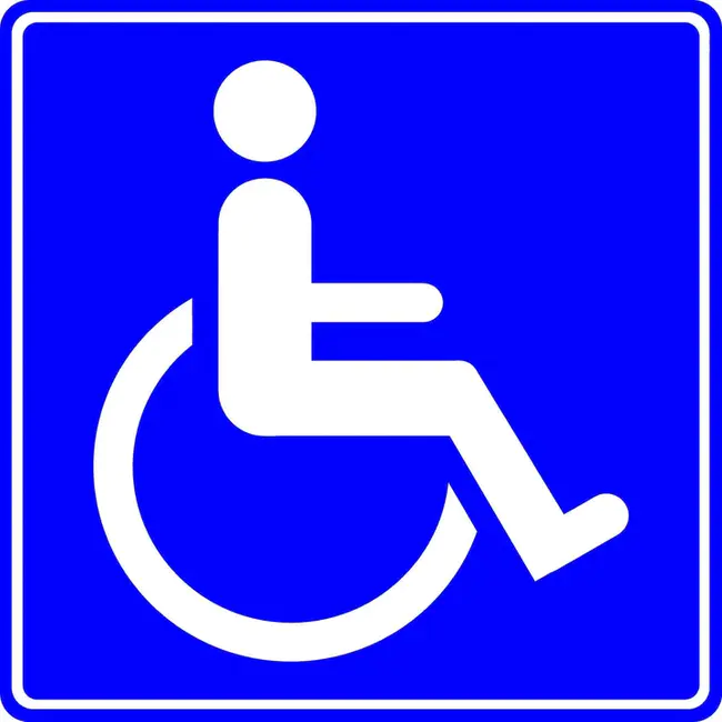 handicapped : 残障人士