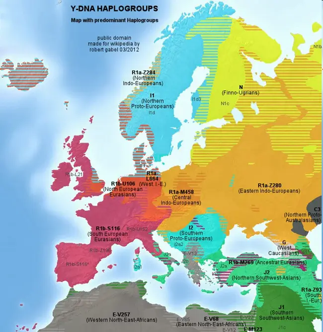 haplogroup : 单倍群