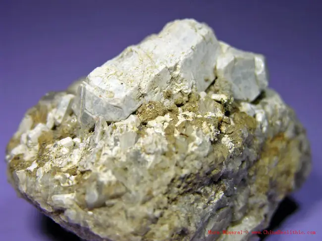 hydroxyapatite : 羟基磷灰石