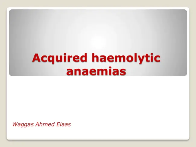 Immune Mediated Haemolytic Anaemia : 免疫介导的溶血性贫血