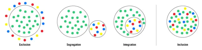 Inclusion Body : 包涵体