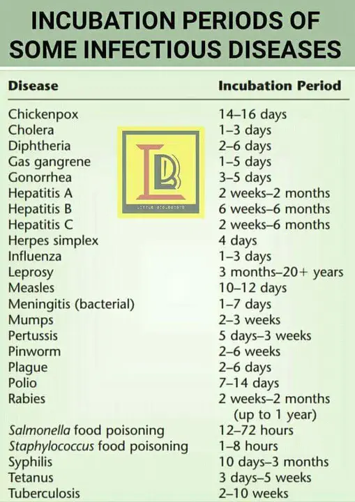 Incubation Period : 潜伏期