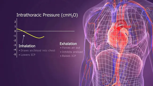 intrathoracic pressure : 胸内压