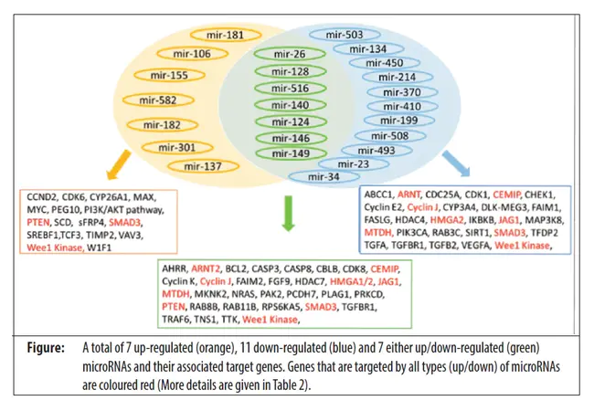 Joint Committee on Immunology and Allergy : 免疫学和过敏联合委员会