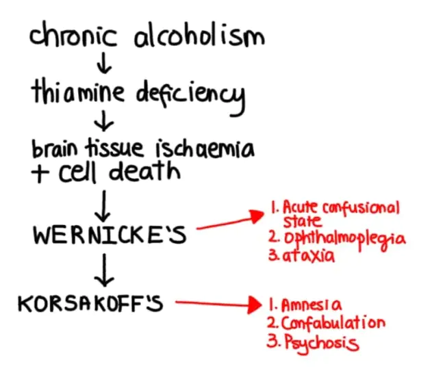 Latent Hepatic Encephalopathy : 潜伏性肝性脑病