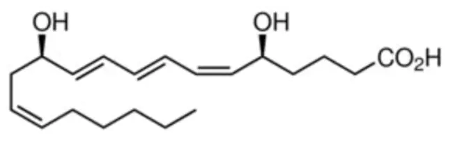 leukotriene C : 白三烯C