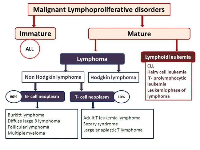 lymphoproliferative syndrome : 淋巴增生综合征