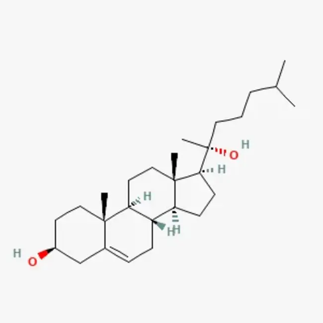 lymphotoxin alpha : 淋巴毒素α