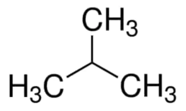 Methyl Bromide : 溴甲烷