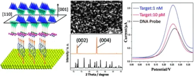 microelectrode array : 微电极阵列