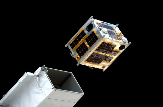 microsatellite stability : 微卫星稳定性